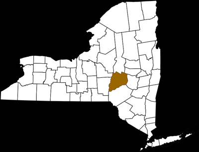 new york state map by county. map of New York state